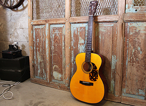 ZMORGAN_Instrument_Norge_L300vf